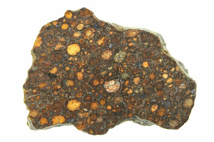 Carbonaceous Chondrite Meteorite ( g) Slice - NWA #315281